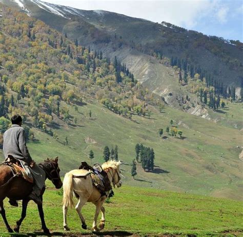 Cheapest Kashmir Tour Starts From Rs 8000 March Aug 2024