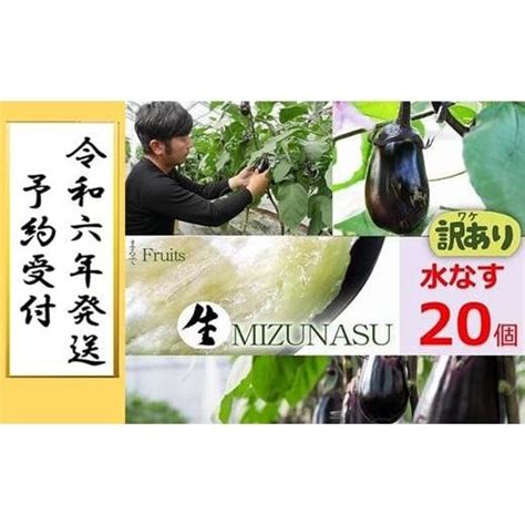 ふるさと納税 大阪府 貝塚市 北野農園【農家直送】ワケあり泉州水なす20個 ／訳あり 家庭用 不揃い 規格外 生なす 泉州水なす 水なす 泉州