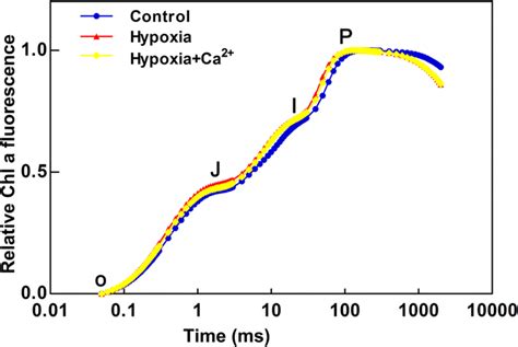 Fast Chl A Fluorescence Transient Ojip Plotted On Logarithmic Time