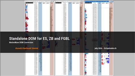 Naked DOM TicinoTrader
