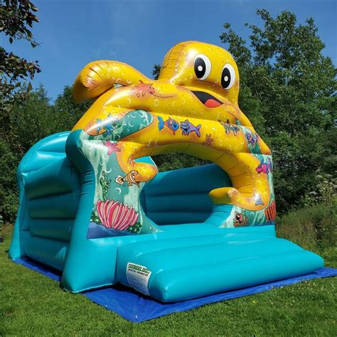 Island Bounce Adventure Updated October Request A Quote