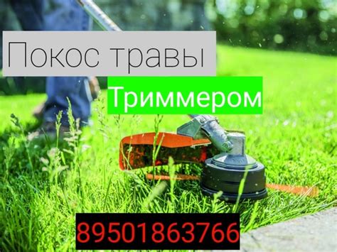 Звоните по номеру 89501863766 | ТАШЛА ТАШЛИНСКИЙ РАЙОН | ВКонтакте