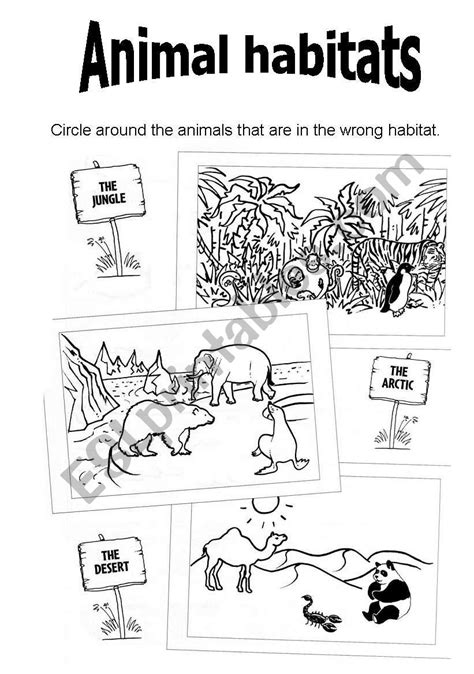 Habitats Worksheets