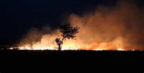 Human-made climate change behind rising 2019 temperatures: WMO