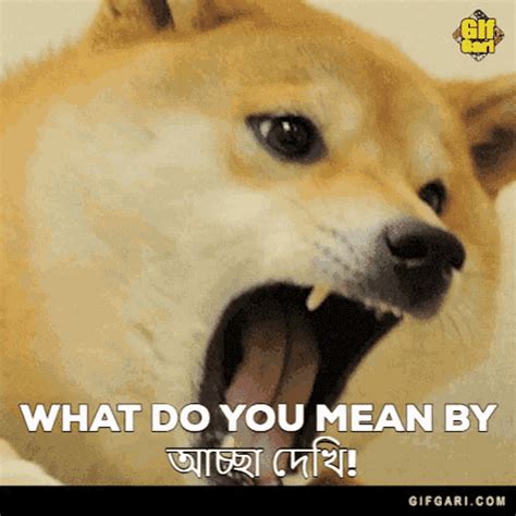 Doge Doge Gif GIF - Doge Doge Gif Doge Bangla - Descubre y comparte GIF