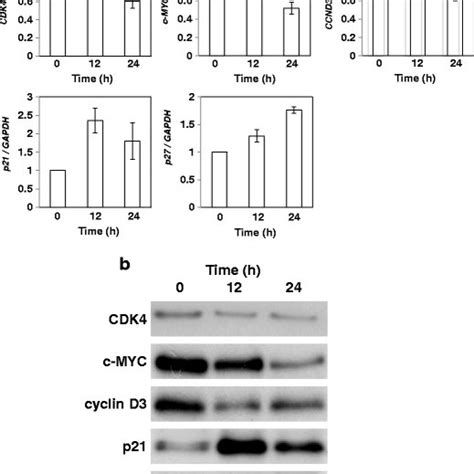 Sal Treatment Causes Activation Of Ras And Phosphorylation Of Mek And