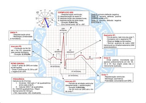 Mapas Mentais Sobre Eletrocardiograma Study Maps