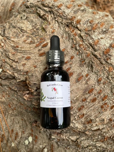 Nopal Cactus Prickly Pear Tincture Herb Extract Double Extraction