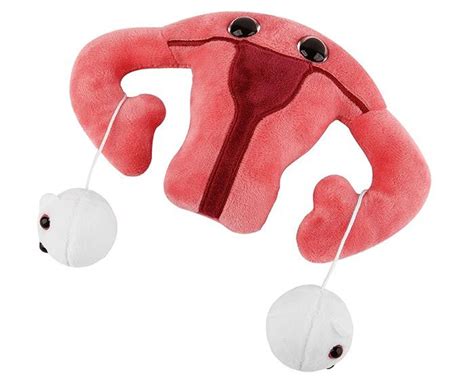 Uterus Plushie Totally Awesome Goods