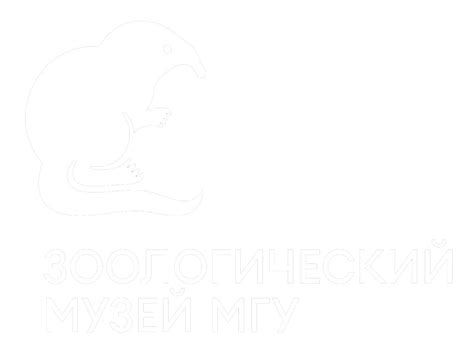 Цифровой Зоологический музей МГУ имени М.В. Ломоносова