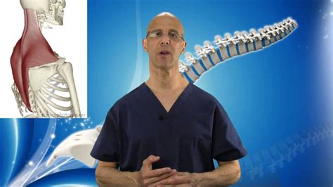 Superb Suboccipital Stretch For Neck Pain Spasm Headache Relief Dr