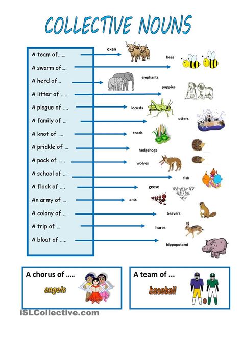 Collective Nouns Activities