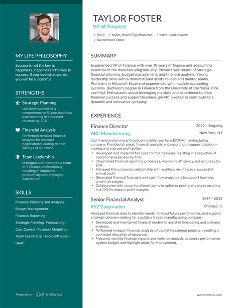 Successful Vp Of Finance Resume Examples And Writing Tips For