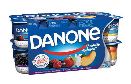 Danone Creamy Yogurt | Walmart.ca