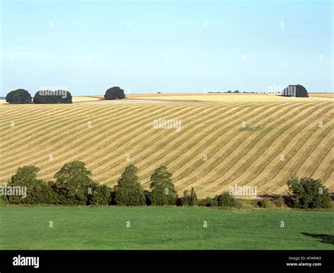 Wiltshire Countryside UK Stock Photo - Alamy