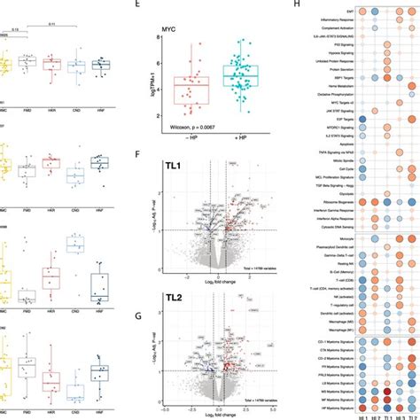 Differential Gene Expression And Gene Set Enrichment Analysis For