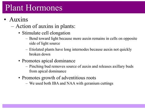 Ppt Plant Hormones Powerpoint Presentation Free Download Id139789