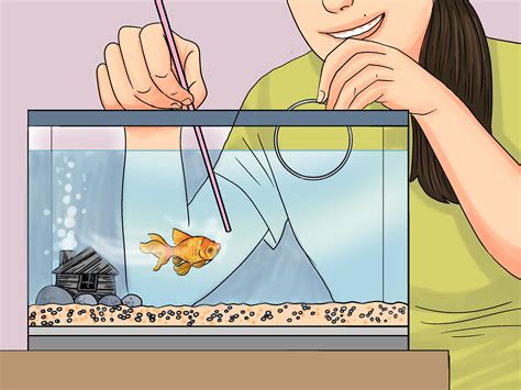 How To Train Goldfish Steps With Pictures Wikihow