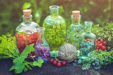 How To Make Herbal Tinctures At Home Amazing Tinctures