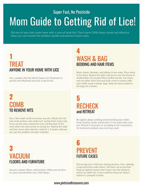 Super Fast No Pesticide Guide To Getting Kids Lice Free · Pint Sized