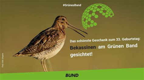 Bund On Twitter Das Gr Neband Wird Doppelte Freude Im Projekt