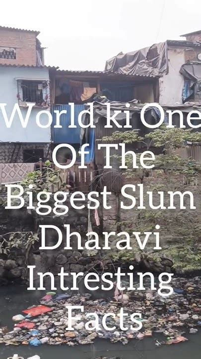 Dharavi Mumbai 🔥 The Largest Slum Full Video Link In Discription