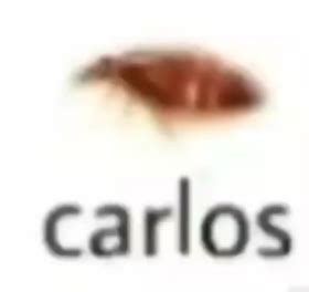 Carlos Blank Template - Imgflip