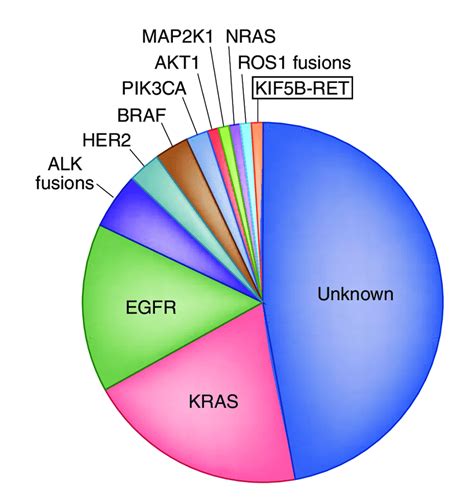 Molecular Subsets Of Lung Adenocarcinoma Pie Chart Showing The