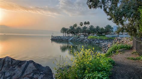 Ronny Light Photo | Sea of Galilee, Tiberias, Capernaum