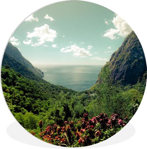 Wall Circle Indoor Wall Circle Forêt tropicale autour des Pitons à