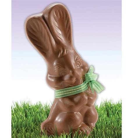 Chocolate Bunny - American Fundraising Services, Inc.