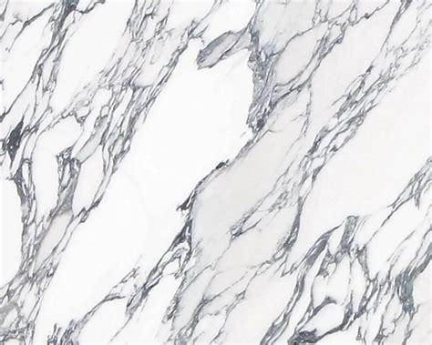 Arabescato Corchia Marble White Byblos Stone