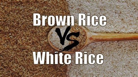 Brown Rice Vs White Rice In Bodybuilding A Comparative Analysis