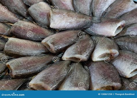 Pescados Salados Secados De La Damisela Foto De Archivo Imagen De