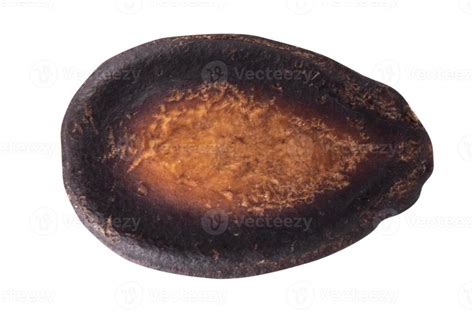 watermelon seeds isolated on white background 12612439 Stock Photo at ...