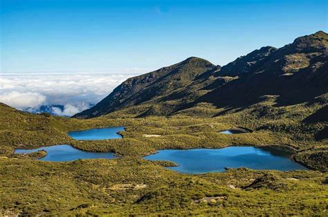 Parque Nacional Chirripó Senderos del Chirripo