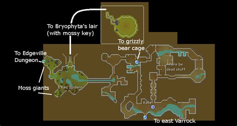 OSRS Bryophyta Guide | Gear & Strategy