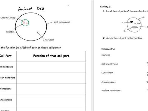 Ccea Double Award Biology Notes Unit Topic Cells Teaching Resources