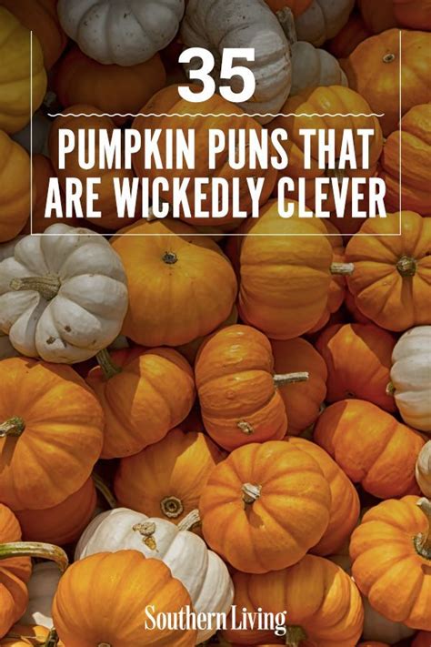 Pumpkins Are Piled Together With The Words 35 Pumpkin Puns That Are