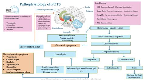 Long Covid Pathophysiology And Clinical Update