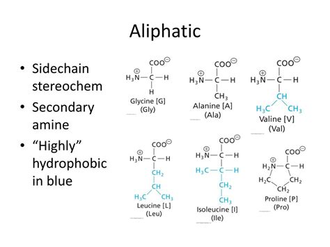 Ppt Amino Acids Powerpoint Presentation Free Download Id1842689