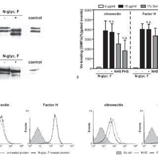 The PspC Like Protein Hic Recruits Vitronectin A G Dosedependent