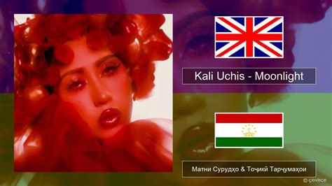 Kali Uchis Moonlight English Матни Сурудҳо And Тоҷикӣ Тарҷумаҳои Lyrics çevirce