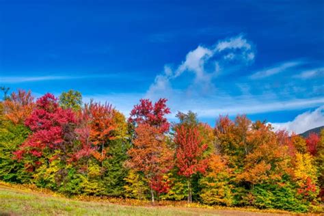 Vermont In The Fall Guide | Fall Into New England