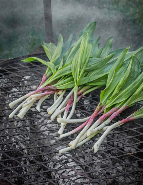 Grilled Ramps - Forager | Chef