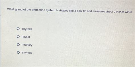 Solved What Gland Of The Endocrine System Is Shaped Like A Bow Tie And