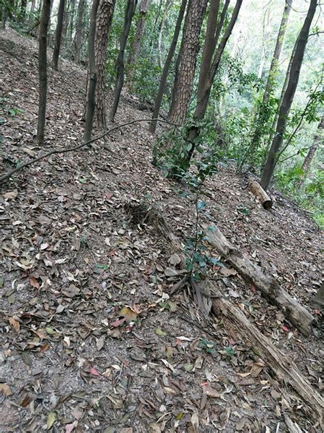 先有番禺后有广州，滴水岩森林公园，番禺沙湾古镇，体验广州慢生活（上篇） 广州旅游攻略 游记 去哪儿攻略