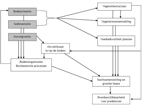 Figuur Schematische Weergave Van De Mogelijke Ecologische Effecten