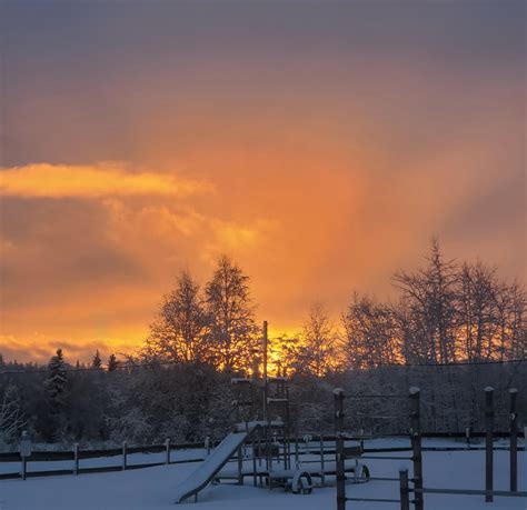 A stunning Alaska Winter sunset : r/pics