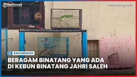 Beragam Binatang Yang Ada Di Kebun Binatang Jahri Saleh Banjarmasin